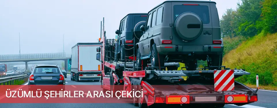 Üzümlü İlçemi Şehirler Arası Çekici